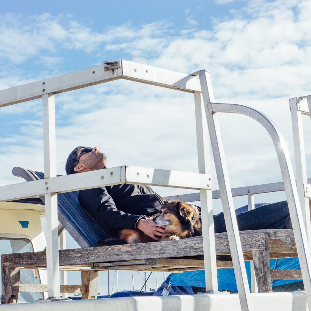 Dog friendly Airbnbs Why you should explore vacation rentals for your dog