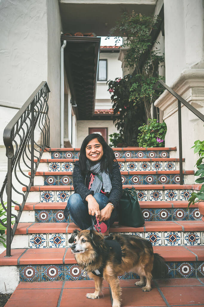 The 10 best dog friendly hotels in Carmel for all budgets