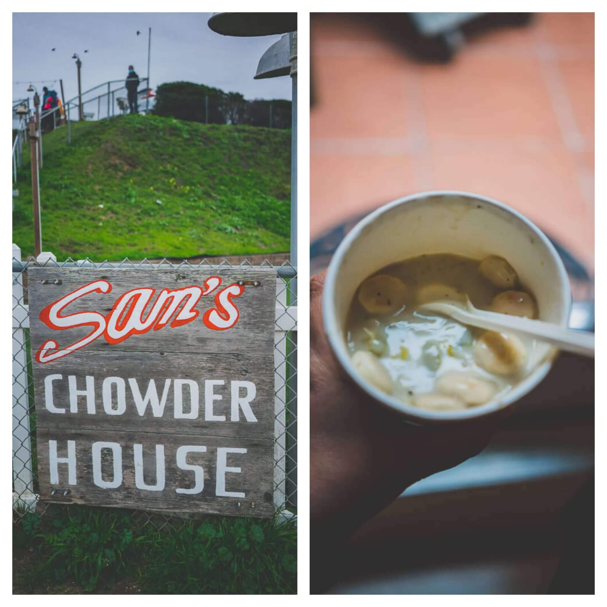 Dog friendly Half Moon Bay Guide How to enjoy a weekend with your dog