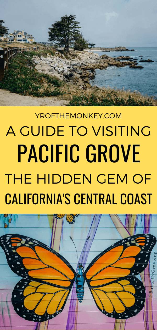 8 Amazing things to do in Pacific Grove on a weekend getaway