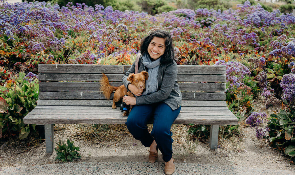 Dog friendly Pismo Beach 8 FUN things to do with your dog at Pismo! We Are The Pet