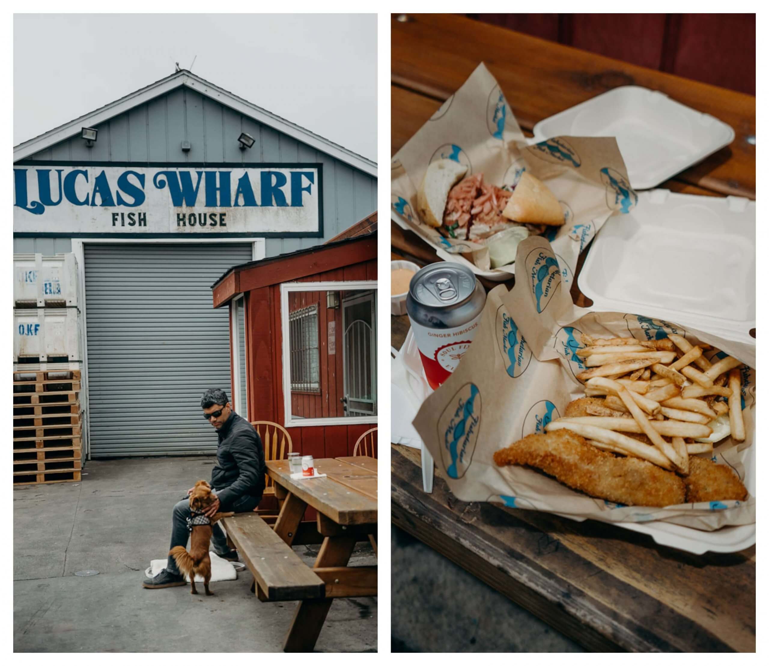 The best things to do in Bodega Bay on a weekend getaway