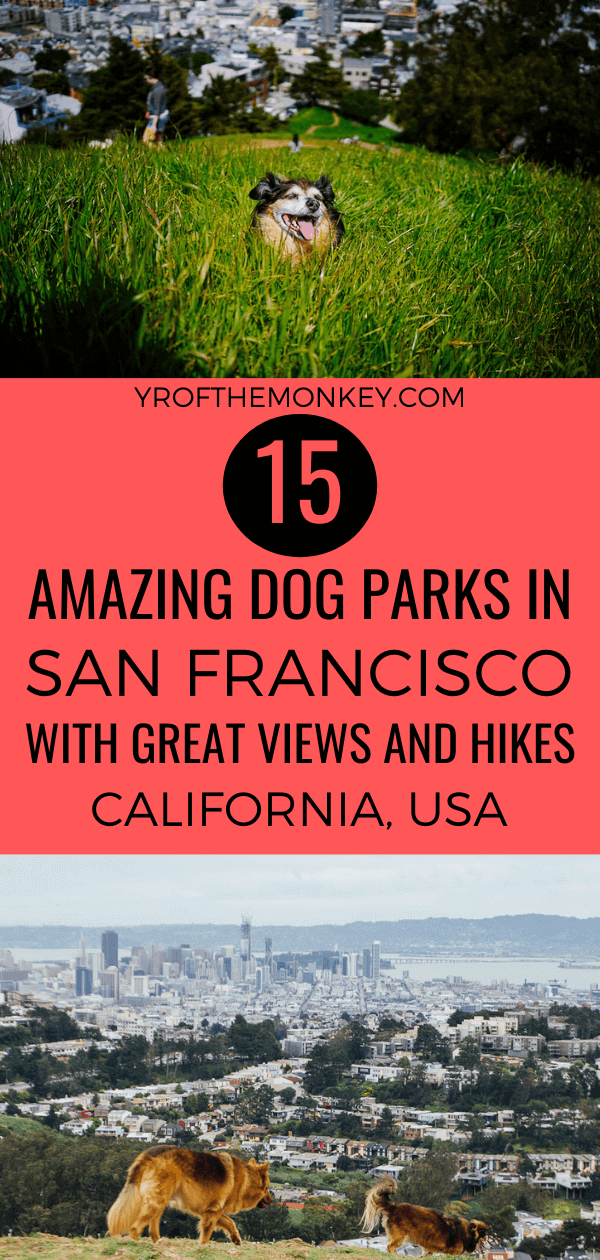 Top 15 dog parks in San Francisco a resident dog mom's guide