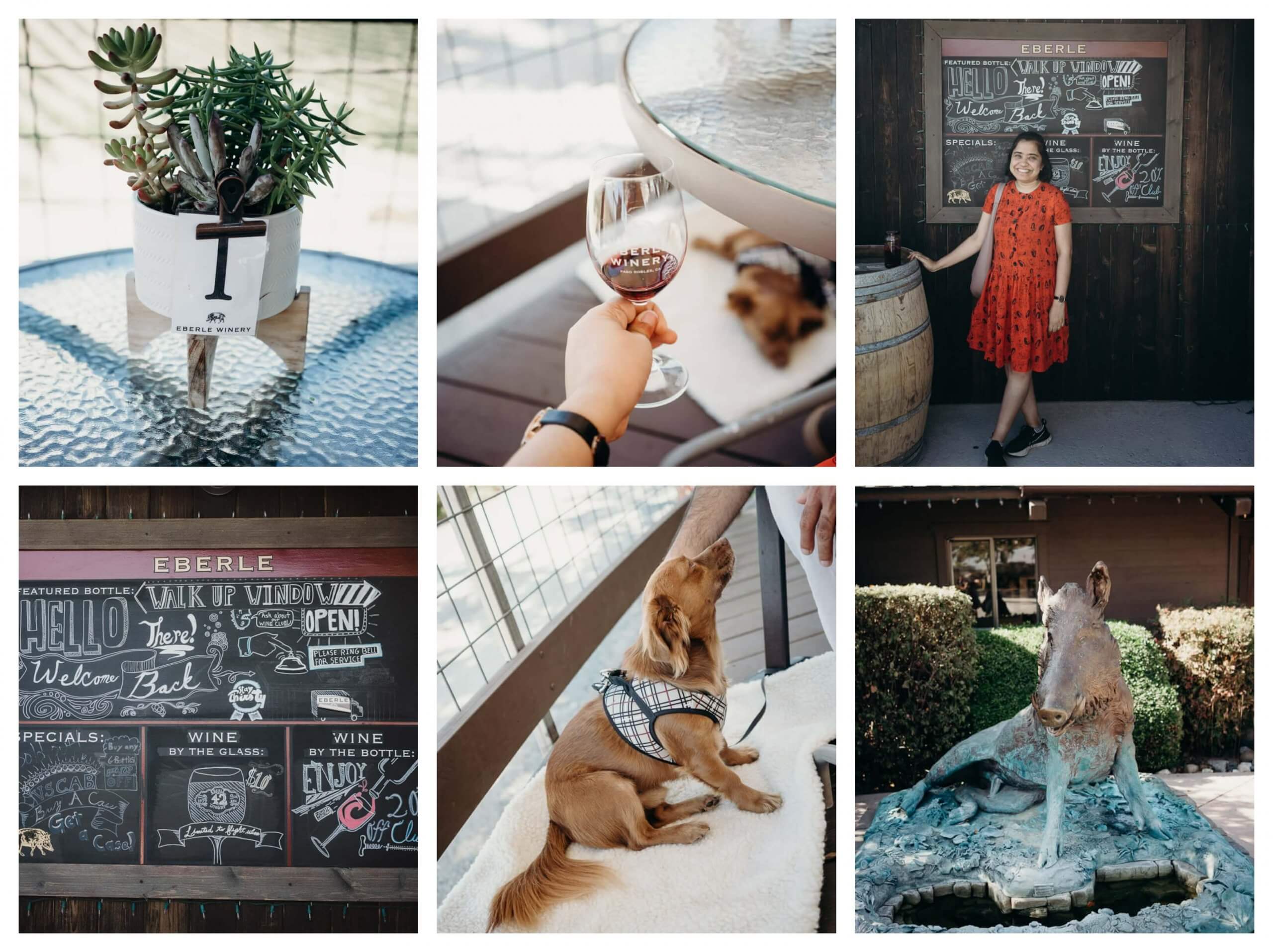 The best dog friendly wineries in Paso Robles, California