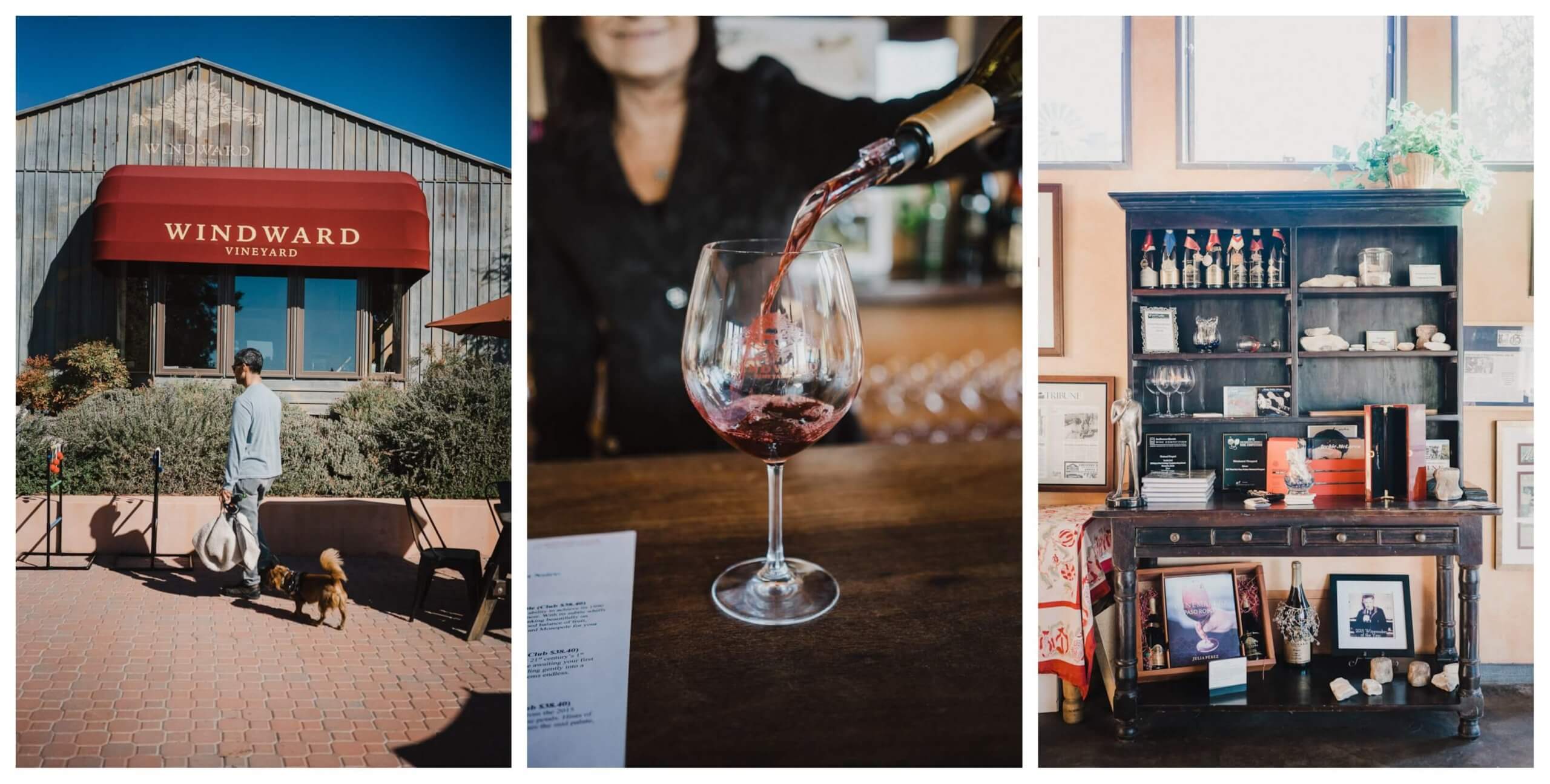 The best dog friendly wineries in Paso Robles, California