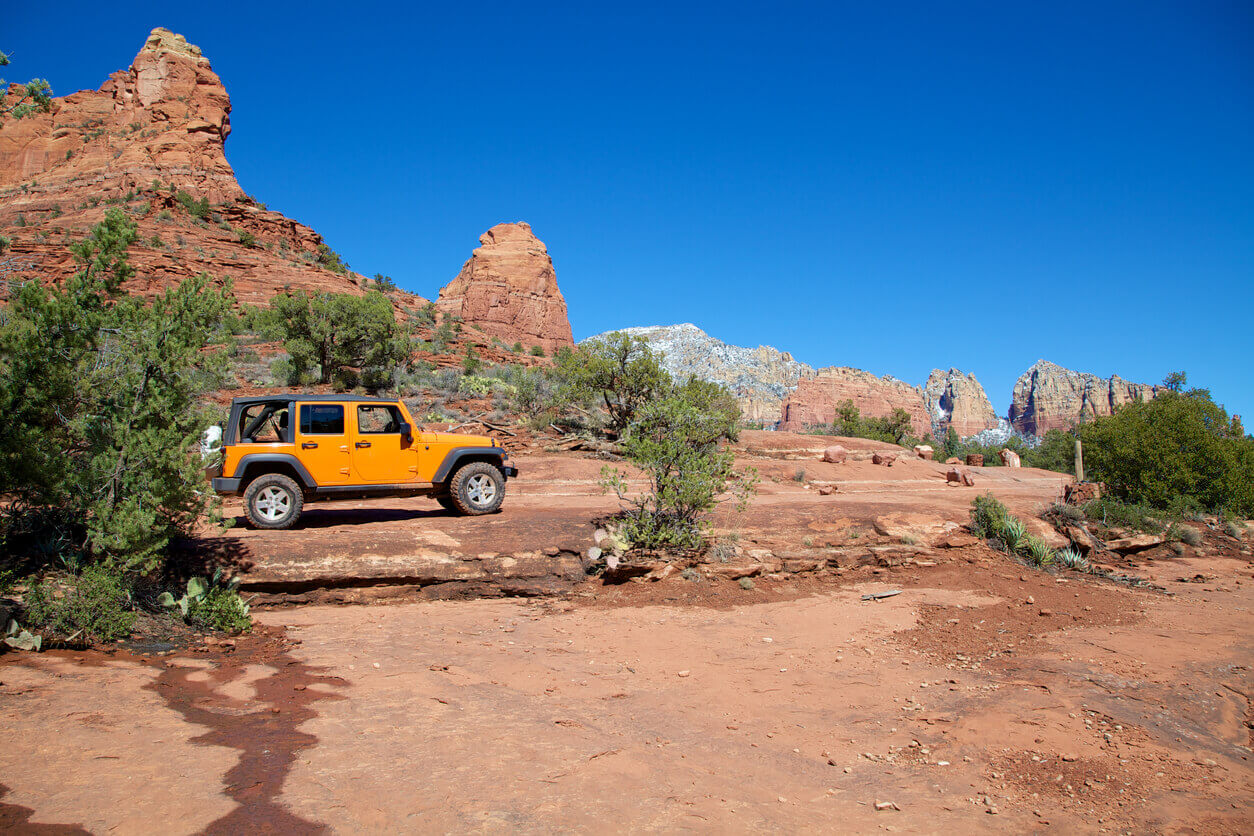 Dog friendly Sedona Local's guide to top dog friendly hikes and more!