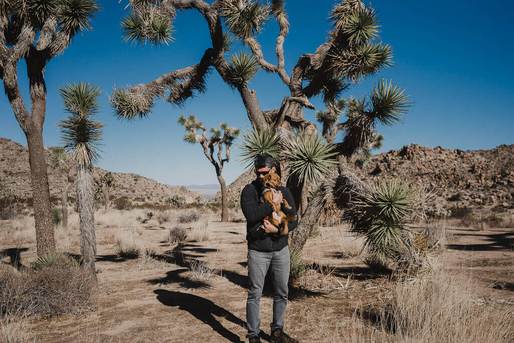 The only dog friendly Joshua Tree guide that you'll ever need!