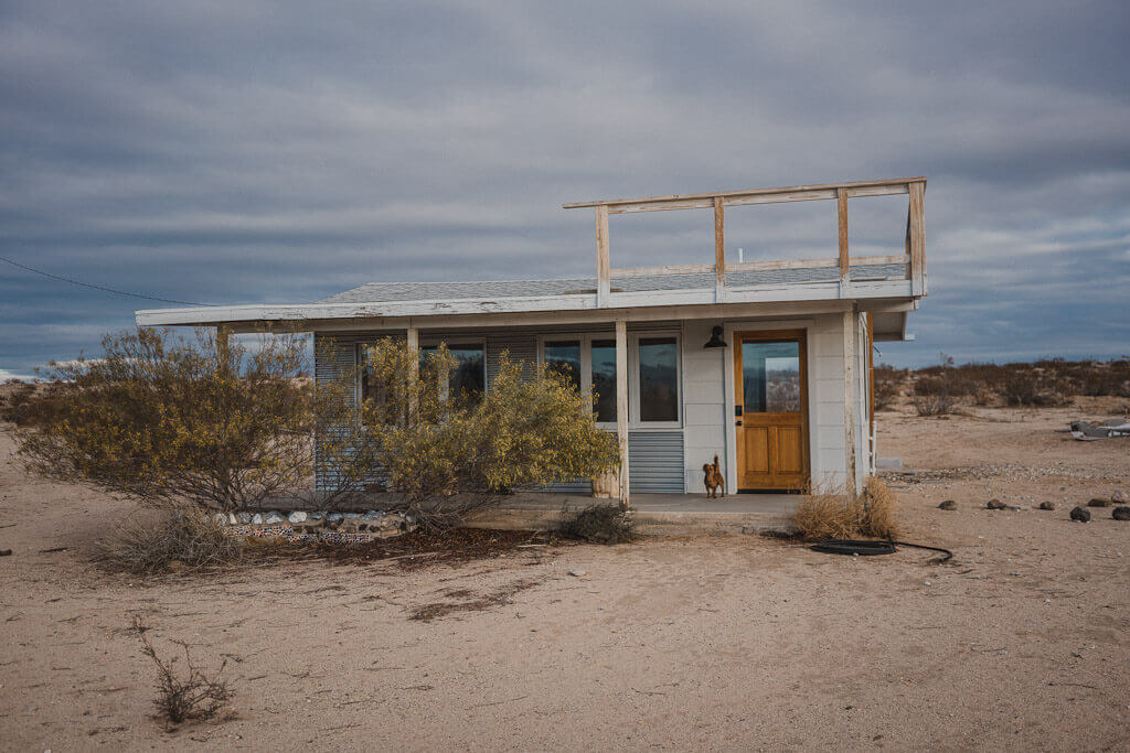 The only dog friendly Joshua Tree guide that you'll ever need!