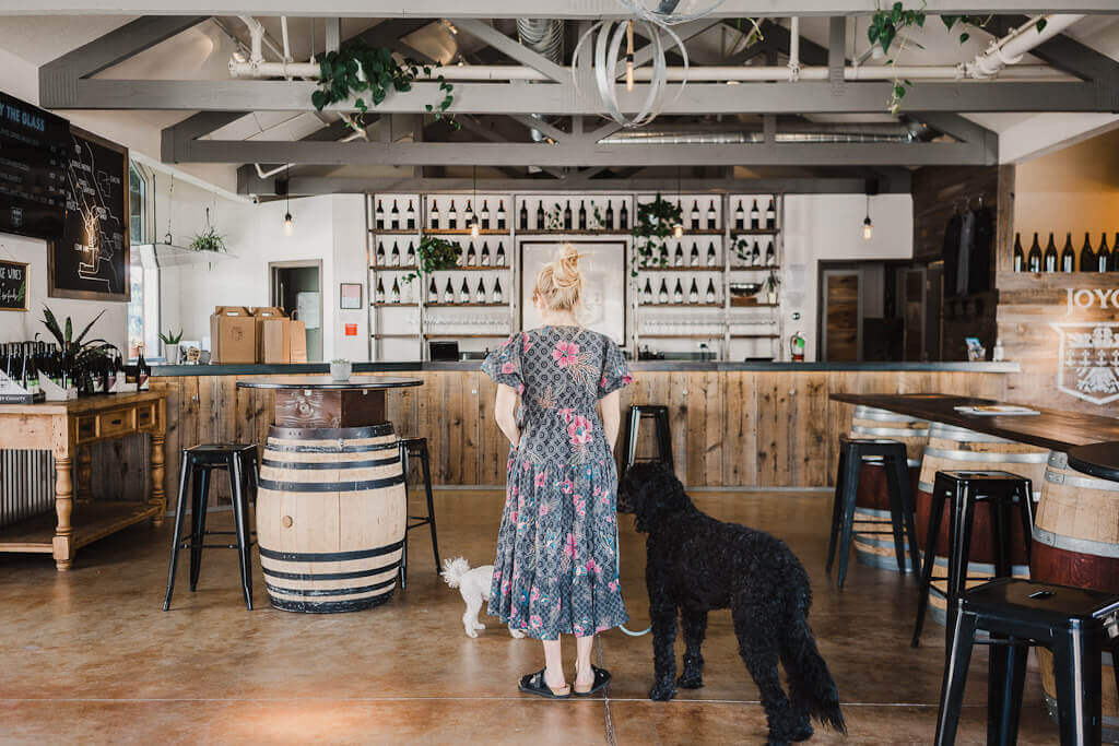 Carmel Valley wineries best places to go wine tasting with dogs!