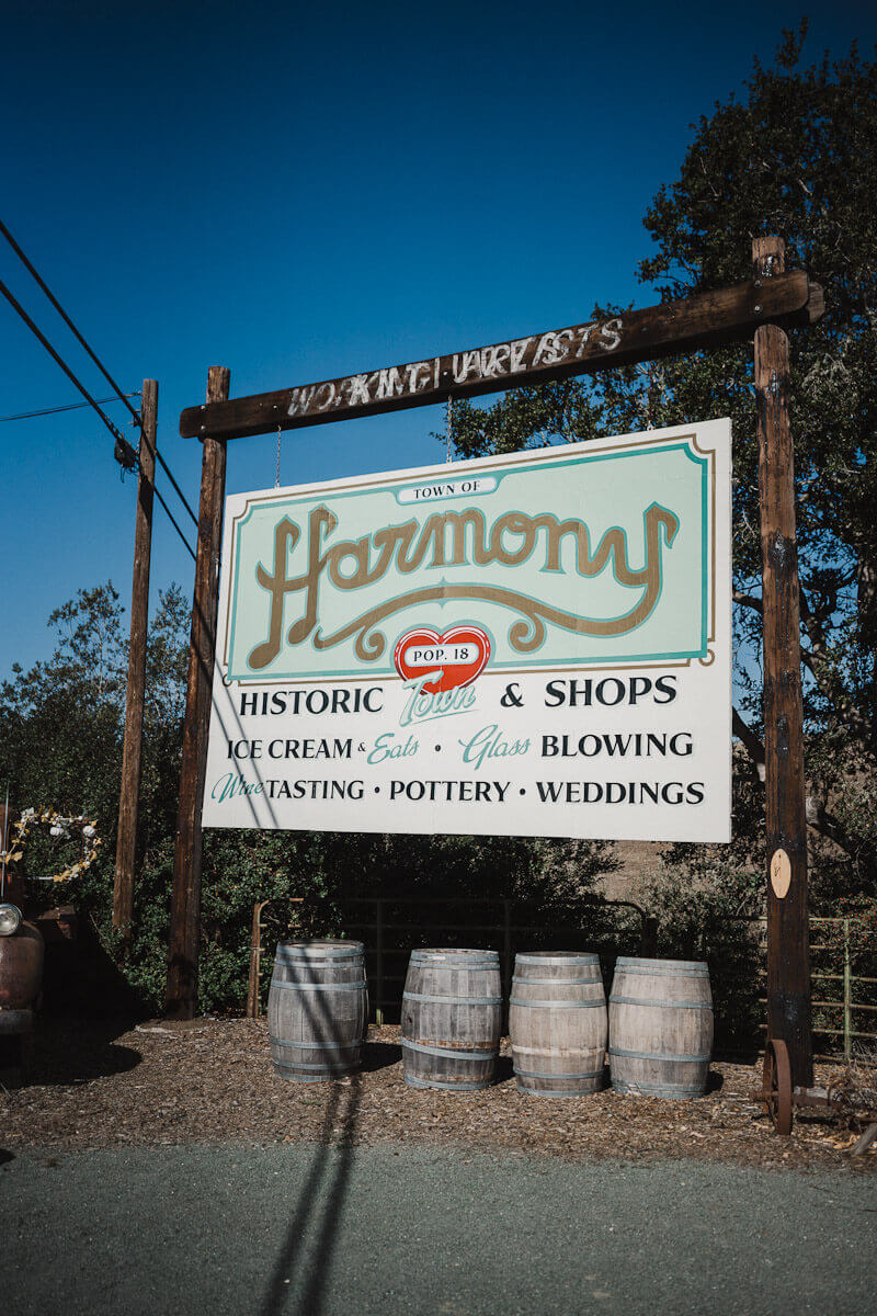 7 Joyful things to do in Harmony, California