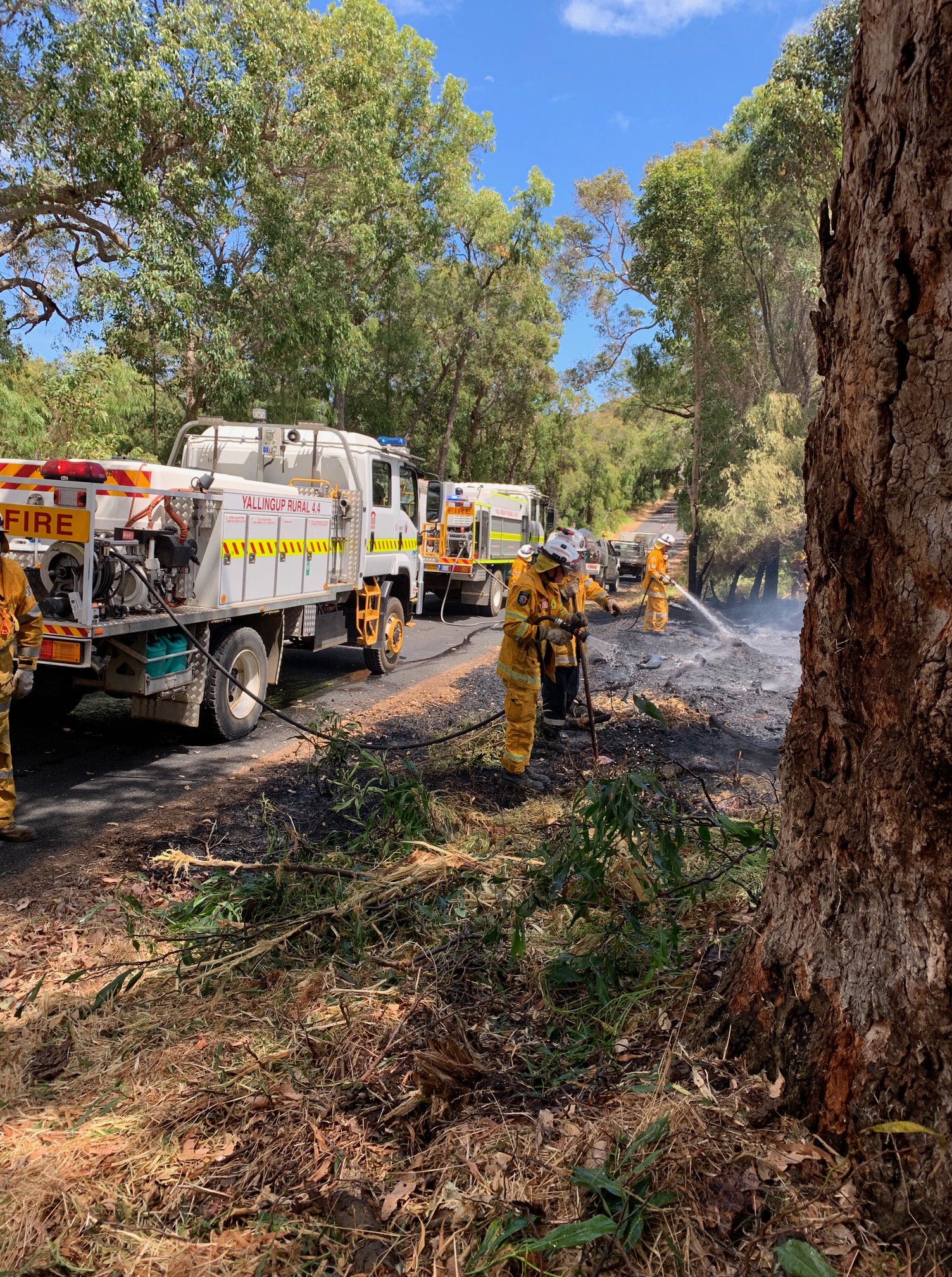 Wyadup Road Fire Yallingup Rural Volunteer Bush Fire Brigade