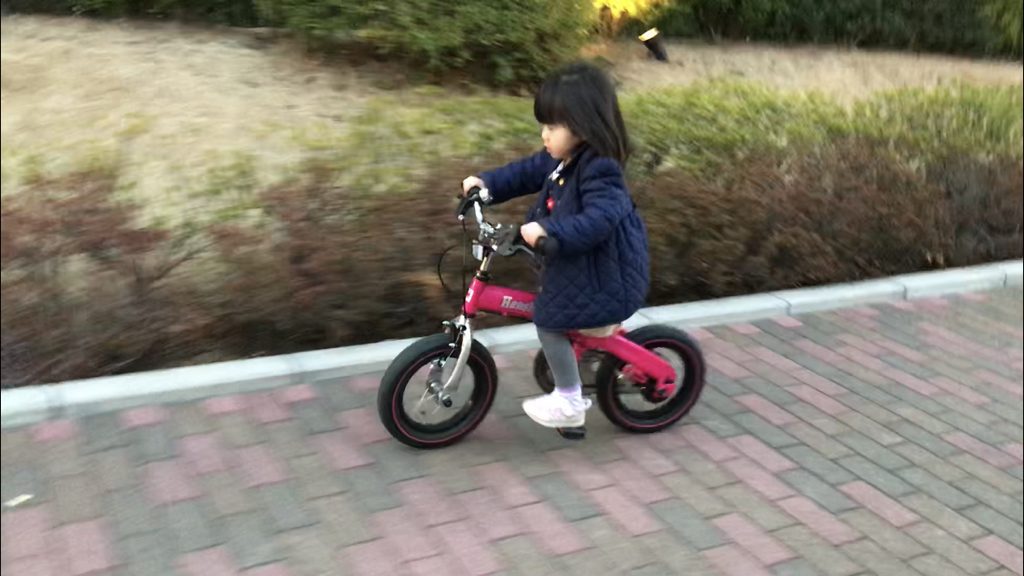 子どもがいきなり補助輪なし自転車に挑戦 +++