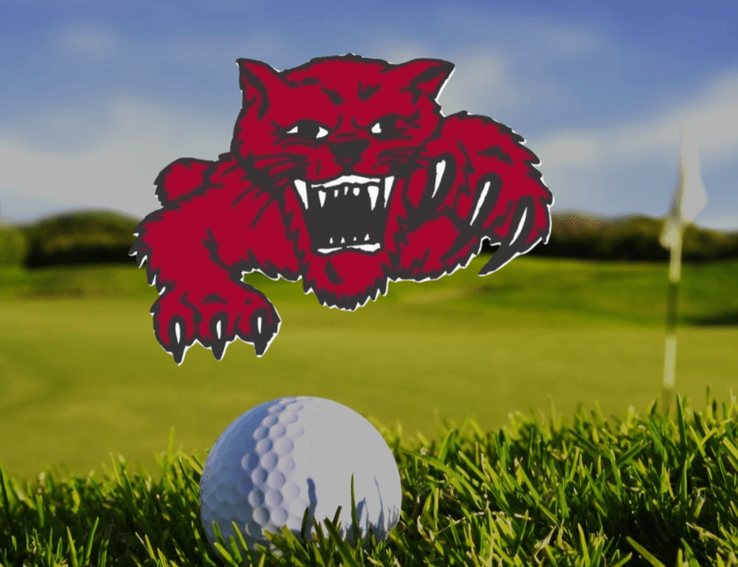 STRUTHERS CANCELS ROCKETS TAKE OFF Your Sports Network