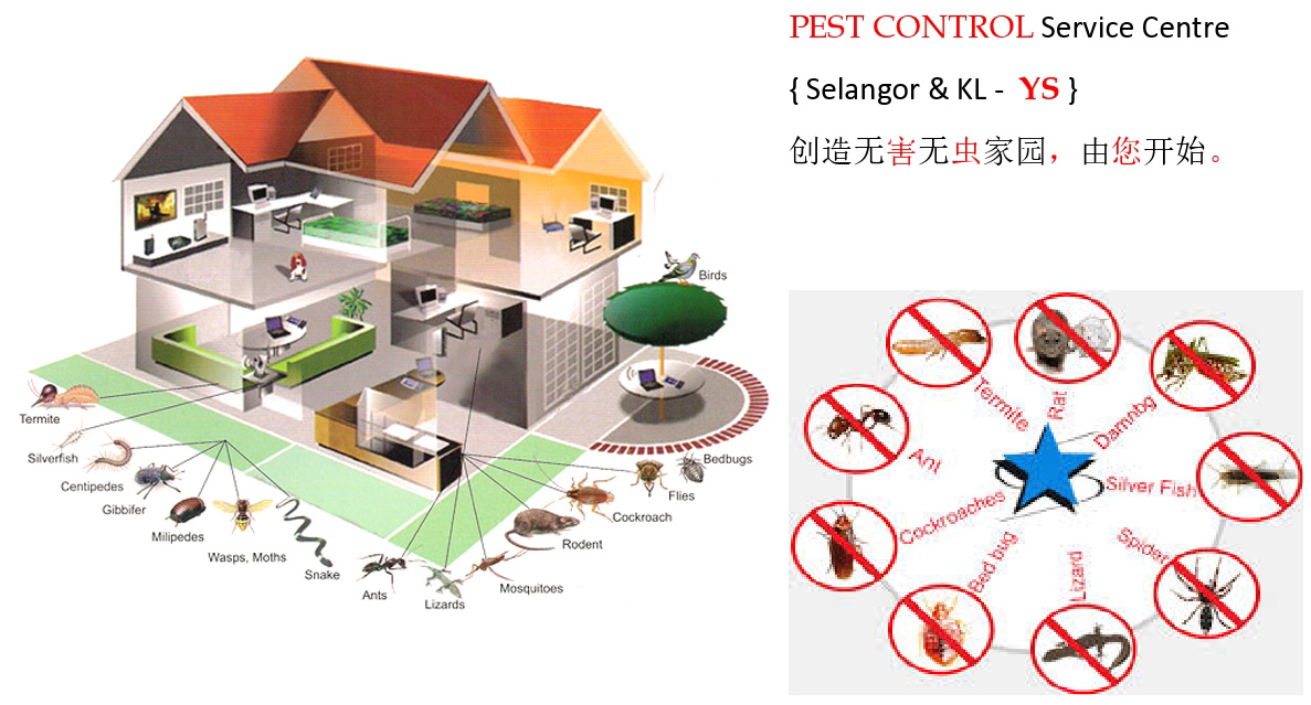 COMPANY PROFILE YS Pest Control Services