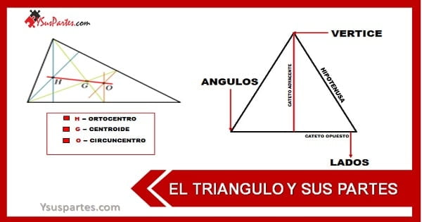 El triángulo y sus partes Y sus partes 👇 👇 👇 👇