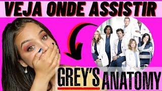 assistir greys anatomy 17temporada