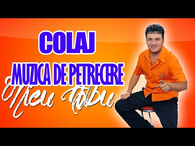 Download Nicu Albu Am acasa o fetita mica ! Colaj Muzica Populara de Petrecere 2014
