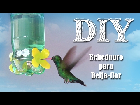 21 2 Mb Bebedero Para Colibries Download Lagu Mp3 Gratis Mp3 Dragon