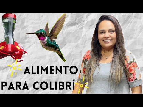 15 45 Mb Como Hacer Nectar Para Colibris Picaflores O Chuparrosas Bebedero Para Chuparosas O Colibris Download Lagu Mp3 Gratis Mp3 Dragon