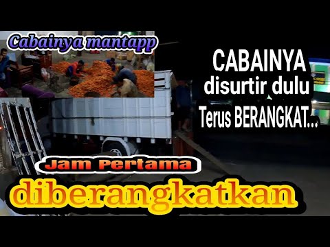 Download lagu truck cabe sang pelari jakarta via semarang bergoyang mp3 . Malang Jakarta 12 Jam Ongkos Cabe Express Apisdhorsata Oyi Jrenk Lagu Mp3 Mp3 Dragon