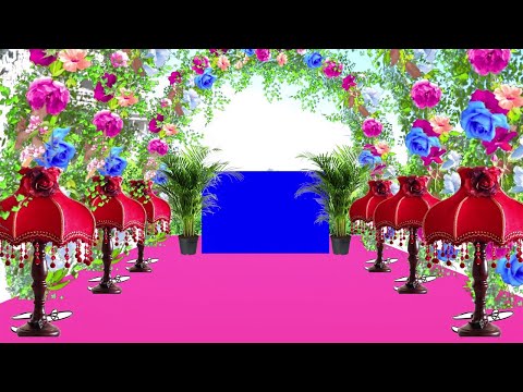 Download New Wedding Frame 3d Fx Green Screen Video Effects 2021 Lagu Mp3 Mp3 Dragon