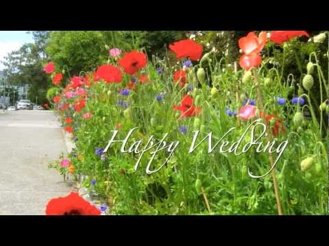 Rin Oikawa Happy Birthday Lagu Mp3 Mp3 Dragon