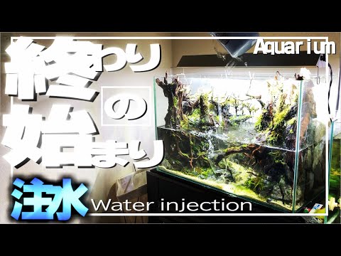 8 11 Mb Diy 自作水槽台完成 ｱｸｱﾘｳﾑ Download Lagu Mp3 Gratis Mp3 Dragon