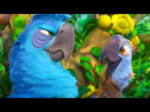 Rio 2 Clip Jewel S Father Lagu Mp3 Mp3 Dragon
