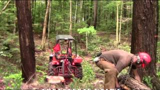 Treuil Forestier Artisanale Pour Micro Tracteur Kubota 7001 Avec