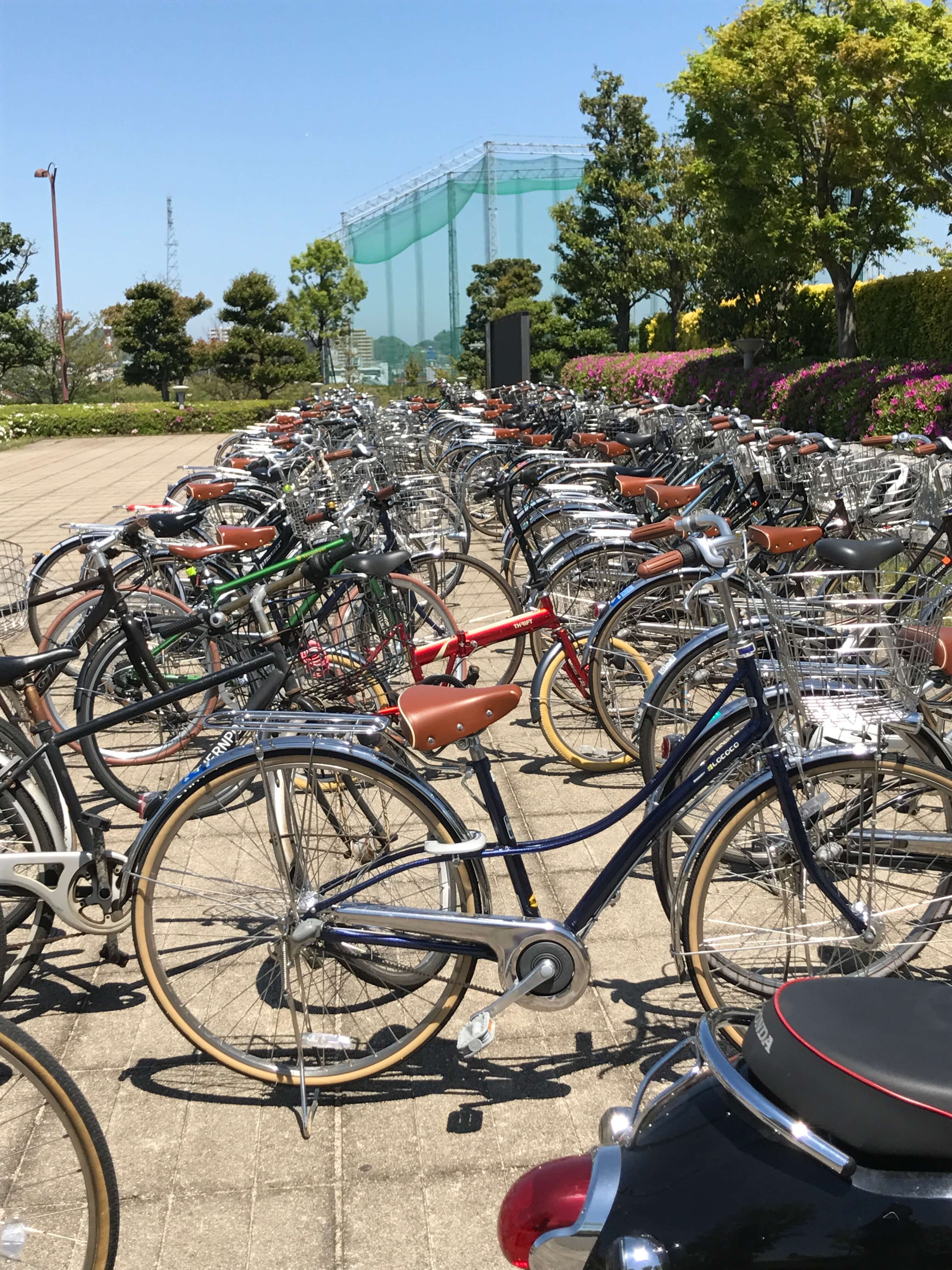 自転車【ロココ】愛媛の学生に爆発的人気らしい｜ヤマシタユウのブログ