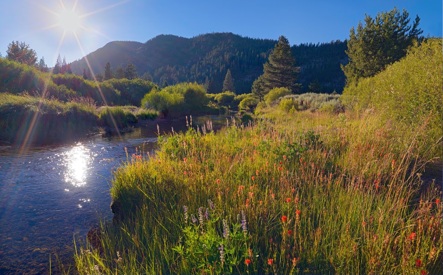 Lower Carpenter Valley in Sierra Nevada Publicly Accessible for First
