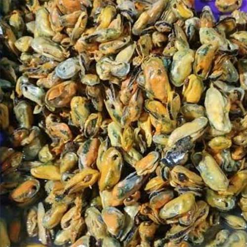 Kerang Hijau Kupas (Frozen)