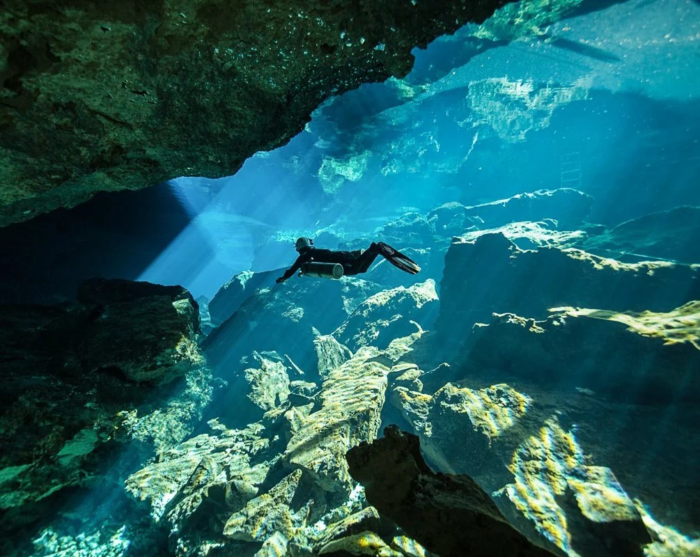 Top 5 Scuba Diving Agencies