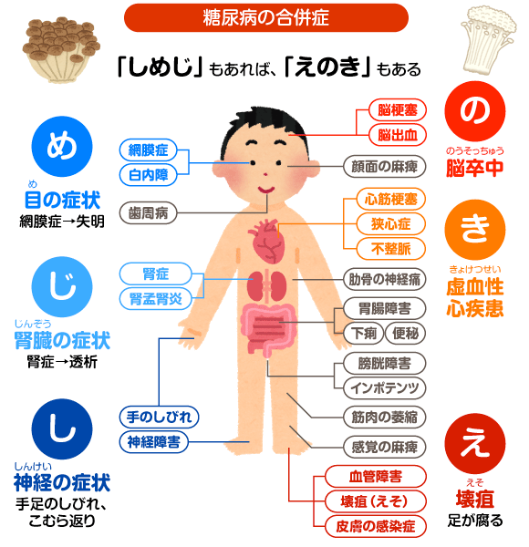 糖尿病 むこうがおかクリニック︱川崎市多摩区登戸︱土日も診療