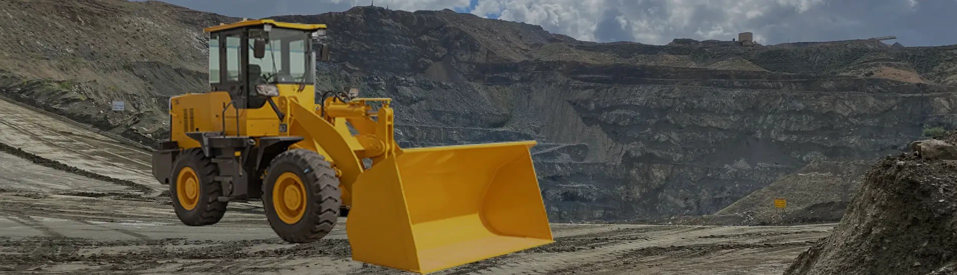 Chinese Wheel Loader Diesel. Electric. Telescopic.