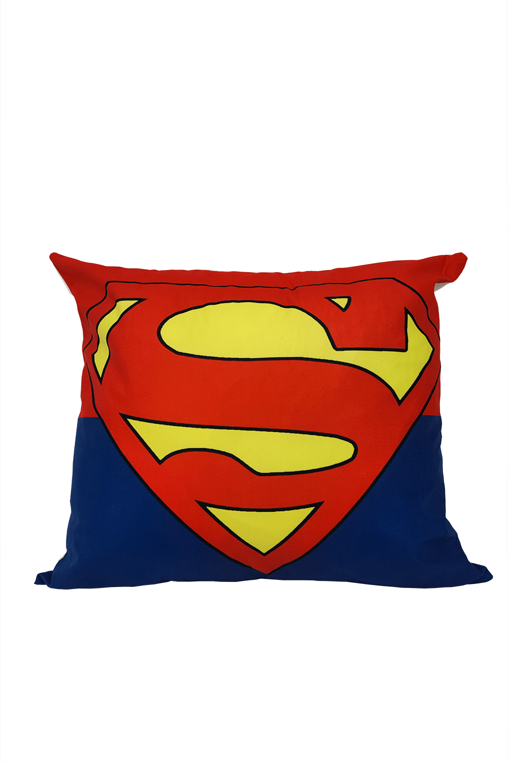 Dolce Home Sofa Throw Pillows 20" x 20"