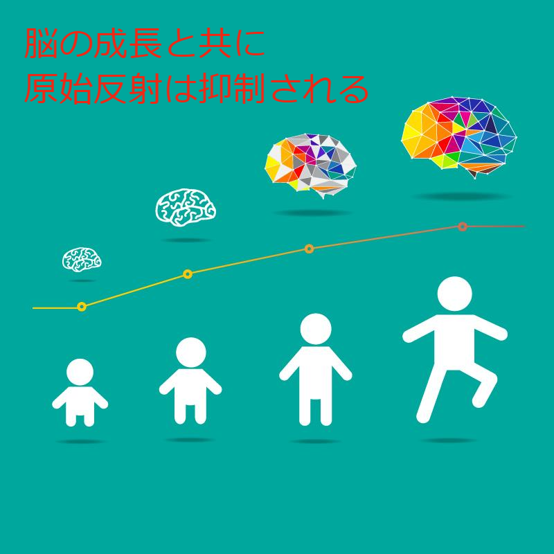 原始反射とは？ 総合整体FUJI 発達障害のお悩みの親御さんへ