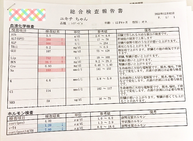 2 ヶ月 肝臓 の 数値 が 高い qasstech