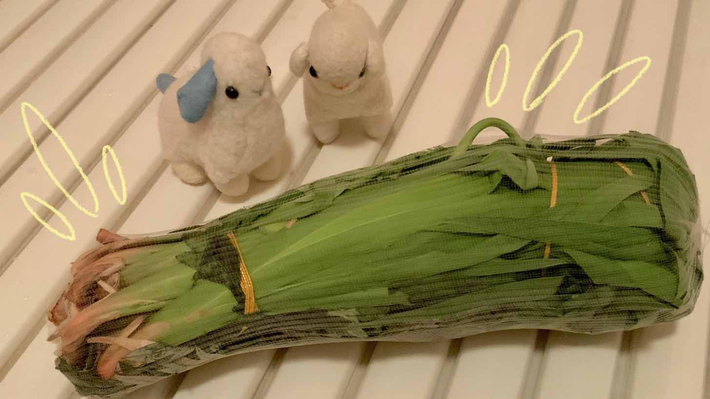 IMG_2978.jpeg｜ゆきみちょ本舗