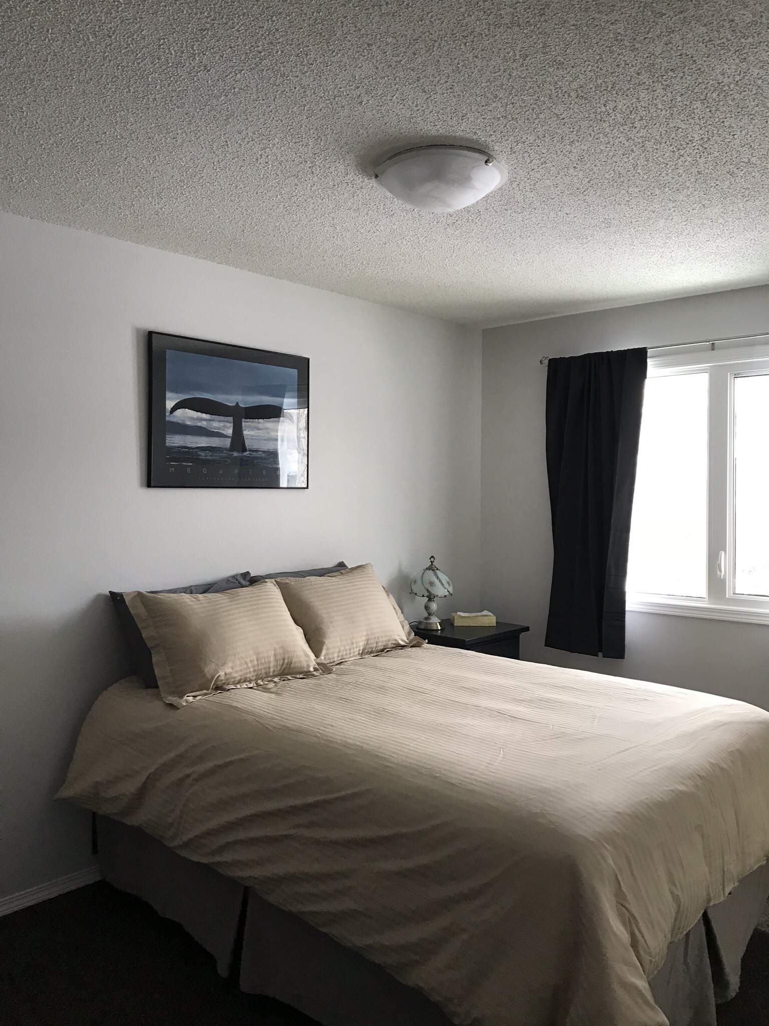 Faro Vacation Rentals Yukon Bed & Breakfasts, Cabins & Vacation Rentals