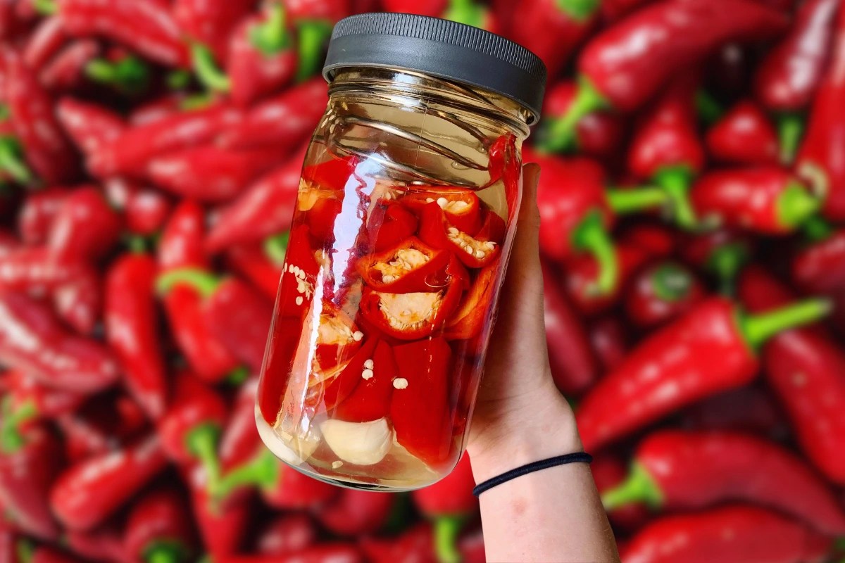 Pickled Fresno Chiles Flavorful Recipes & Health Benefits Yumtastic