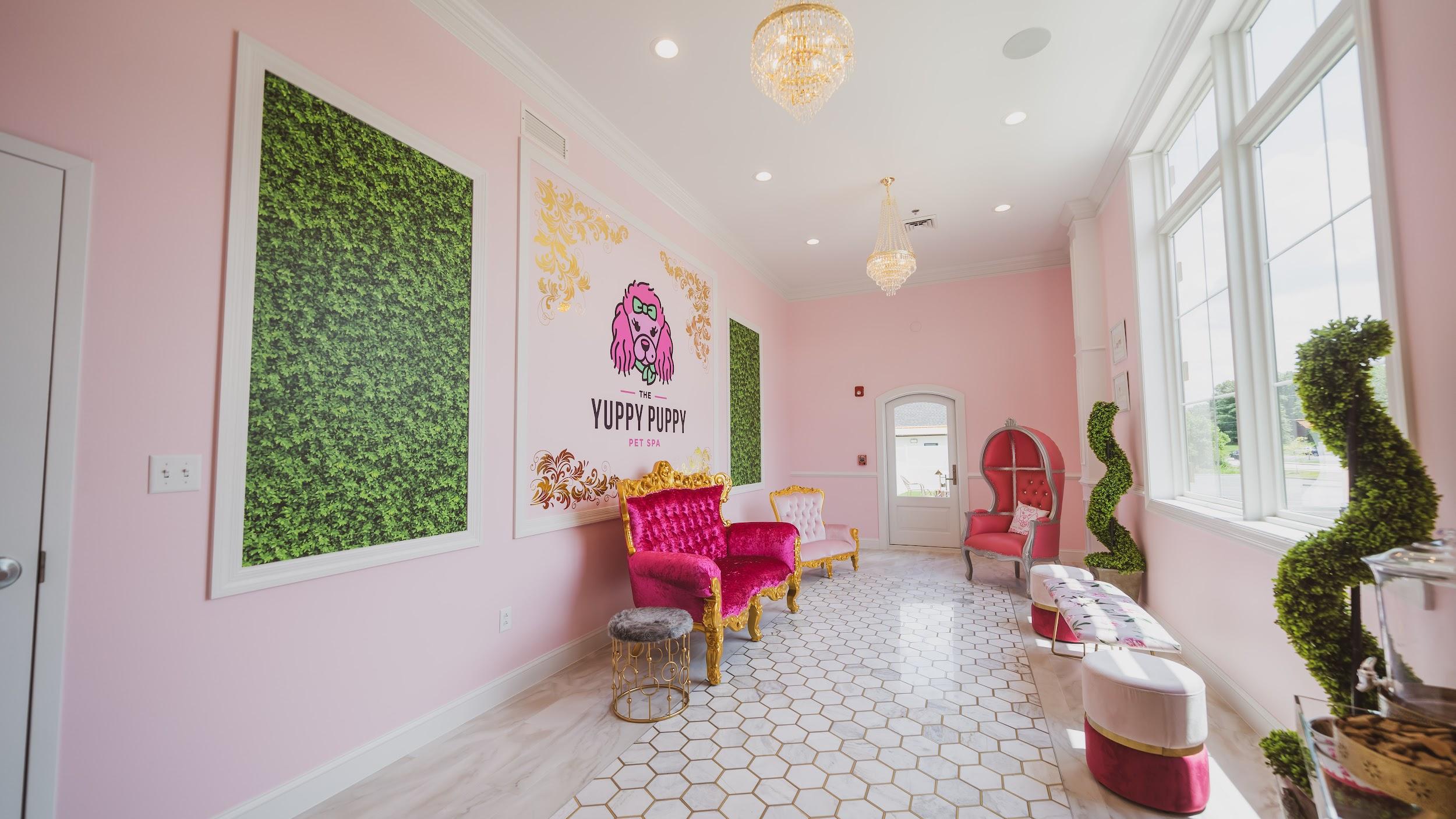 Pet Boarding & Day Care The Yuppy Puppy Pet Spa Dog Grooming