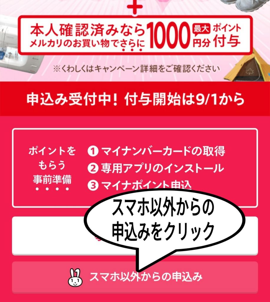 マイナポイントをアプリ以外で申込みたい決済サービスIDとセキュリティーコード1がわからない！ ゆるりねこblog