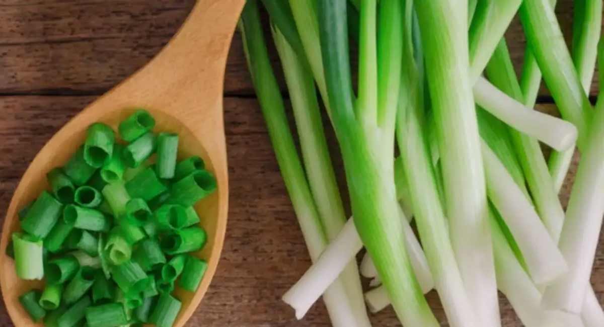 Spring Onions Benefits ఉల్లికాడలను రోజు ఆహారంగా తీసుకుంటున్నారా… ఇవి