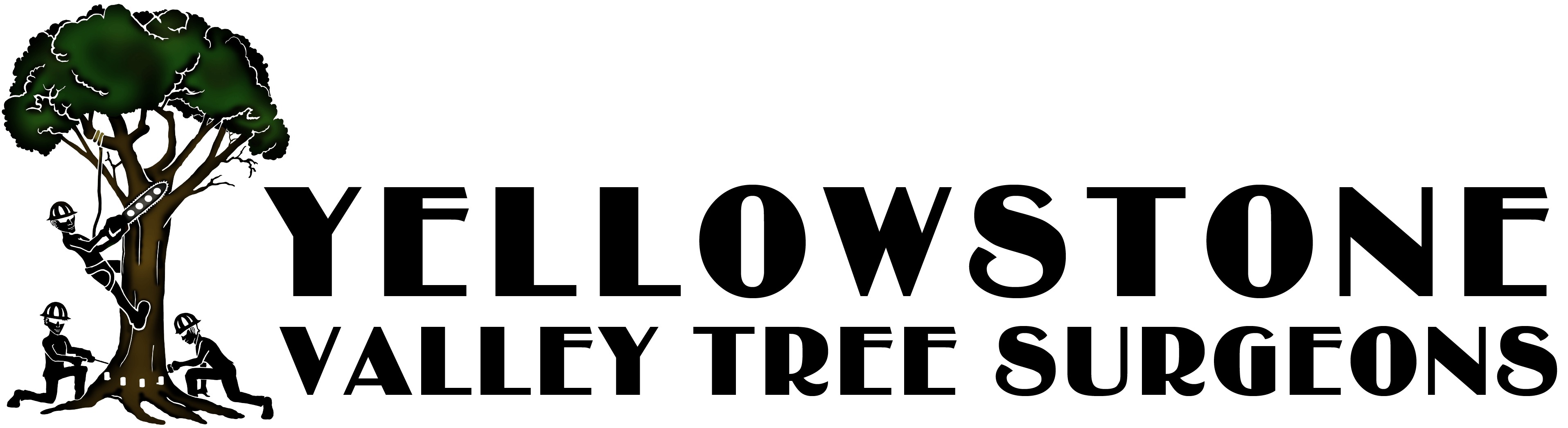 Yellowstone Valley Tree Surgeons Tree Services Billings MT