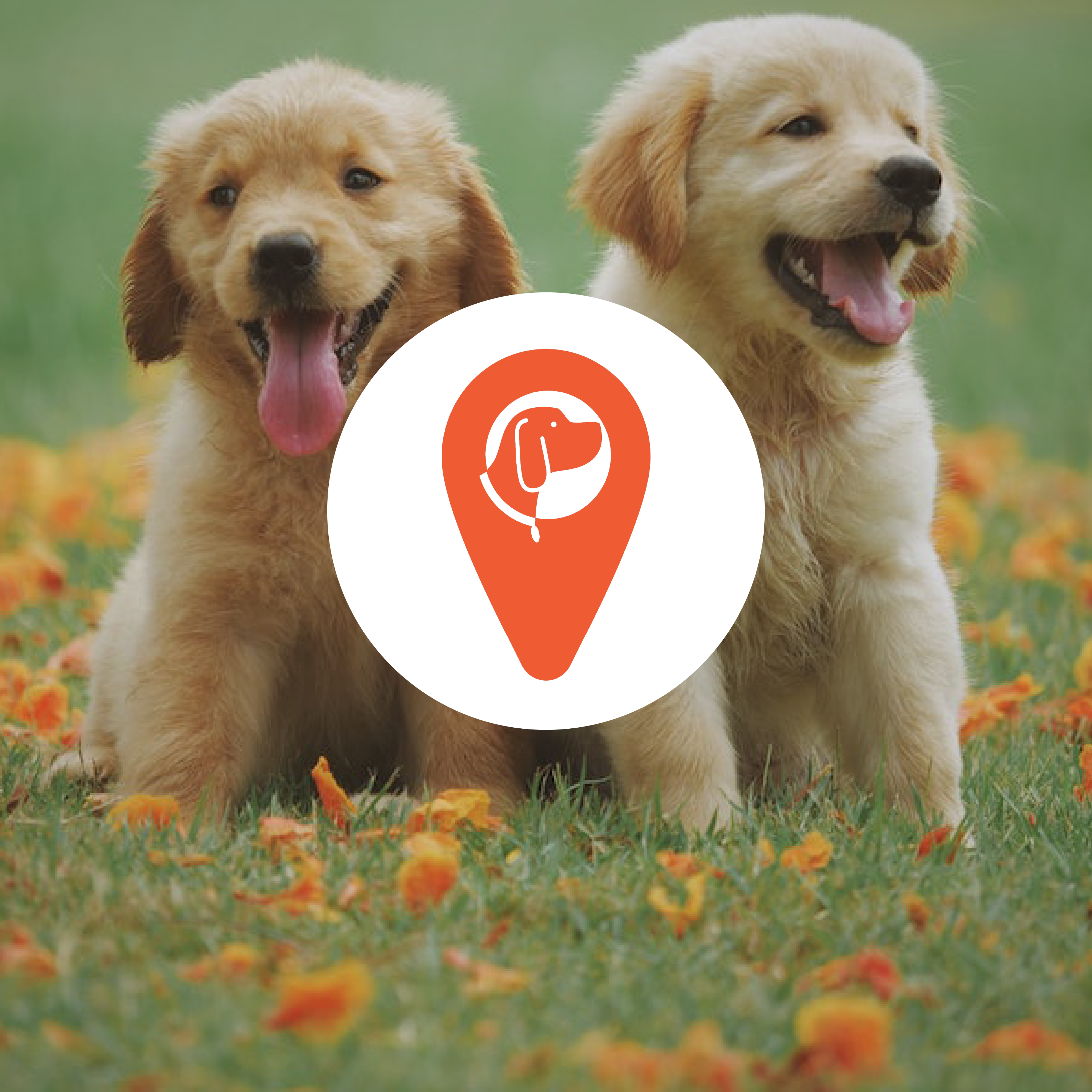 YYC3 • Working with Spot