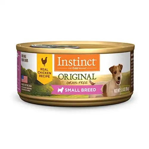 Best Dog Food For Yorkshire Terriers (Puppies And Adults)