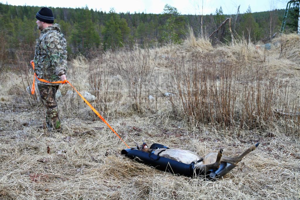 Viltdragare Dead Sled Premier Trophy, Zaim, älgpulka, viltpulka