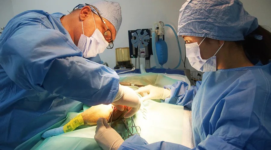 Orthopedic Surgery Zabeel Veterinary Hospital