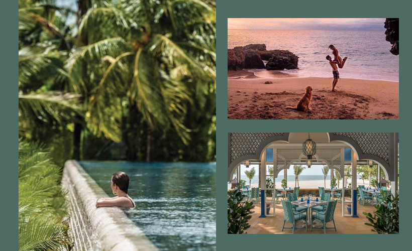 Purrfect 7 PetFriendly Hotels In Malaysia